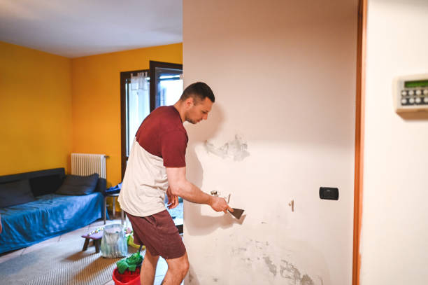 Best Certified Mold Removal  in Pomona, NJ